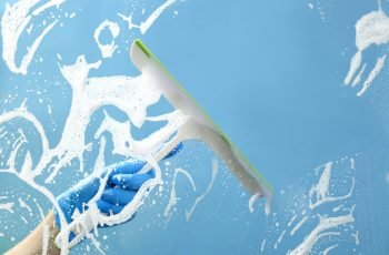 Professional Window Cleaning Excellence 3