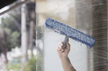 Professional Window Cleaning Excellence 5